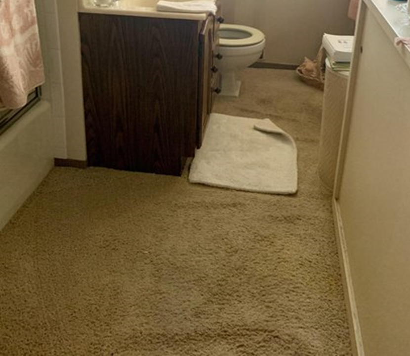 Você usa carpete no banheiro? E na granja?