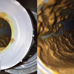 Traduzindo o biofilme em poucas palavras...