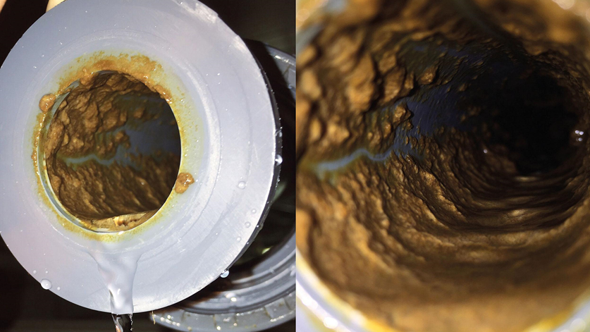 Traduzindo o biofilme em poucas palavras...