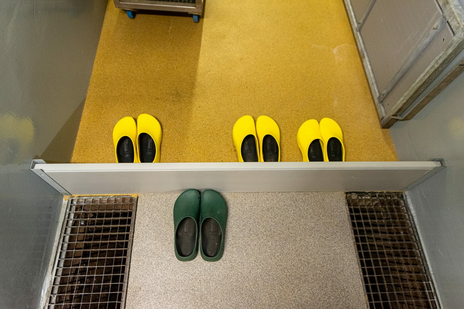 Objetos, sapatos... tudo contamina seus animais!