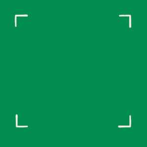 MSshoplive