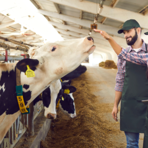 7 produtos para fazenda de leite que você não conhecia!
