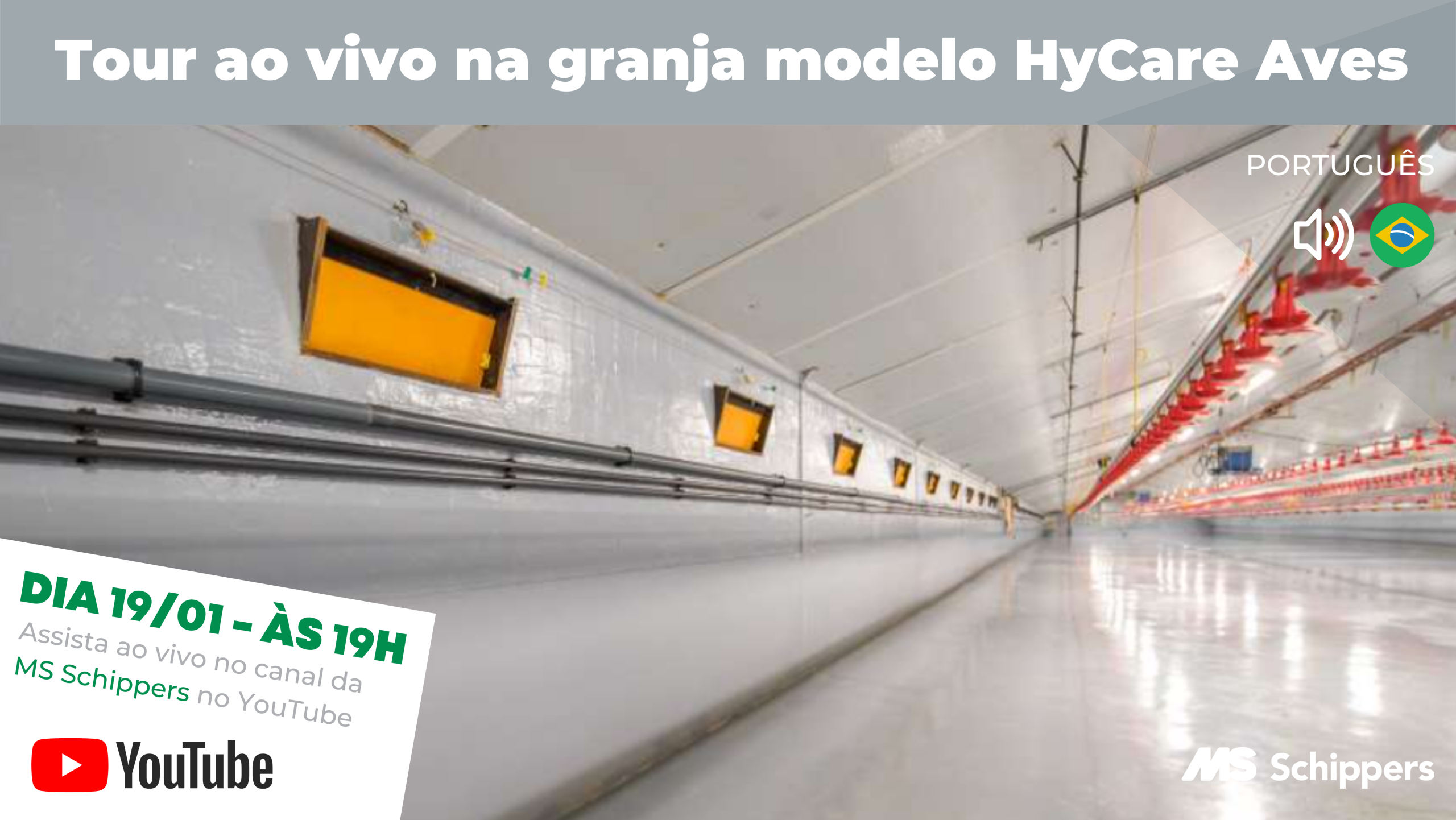 Para começar esse ano com uma live especial, nós vamos te levar para dentro da granja HyCare modelo de avicultura de corte!
