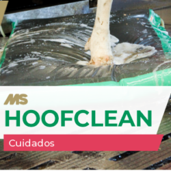 BANNER HOOFCLEAN